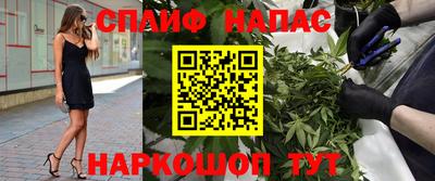 гидропоника Кингисепп