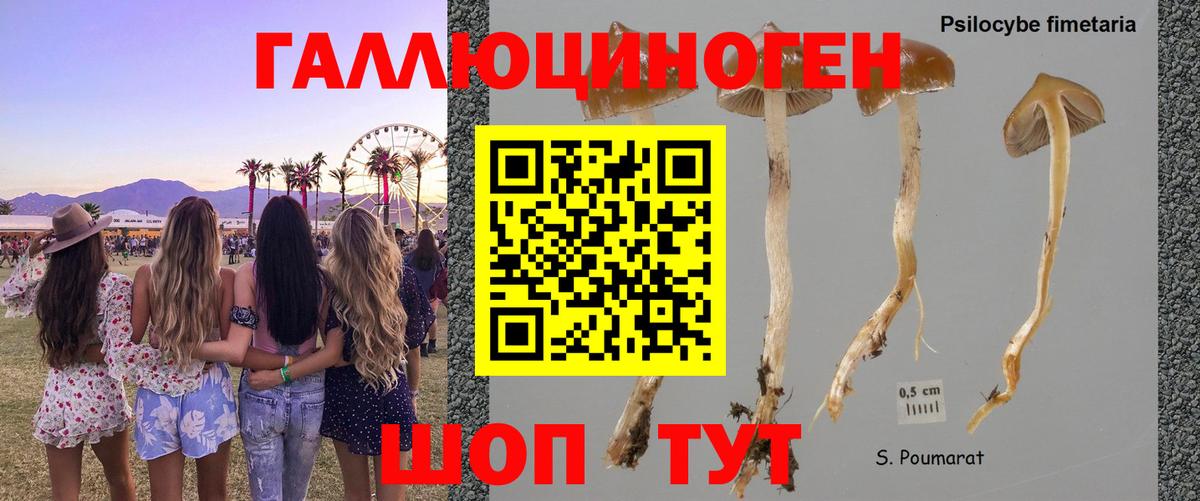 Галлюциногенные грибы Magic Shrooms  Галлюциногенные грибы прущие грибы  Вход с VPN  наркотики  Красноармейск 